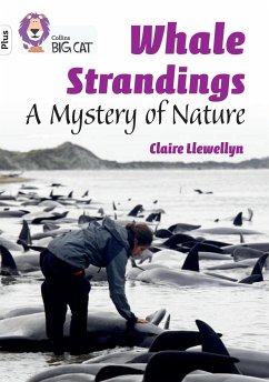 Whale Strandings: A Mystery of Nature - Llewellyn, Claire