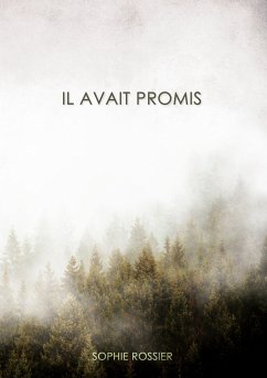 Il avait promis (eBook, ePUB)