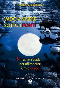 Vado a vivere sotto i ponti (eBook, ePUB) - Pallavidino, Paolo