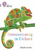 Communicating in Colour