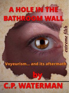 A Hole in the Bathroom Wall (eBook, ePUB) - Waterman, C. P.