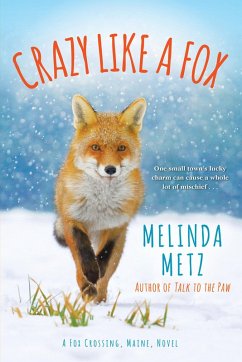 Crazy like a Fox (eBook, ePUB) - Metz, Melinda