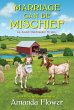 Marriage Can Be Mischief (eBook, ePUB) - Bild 1
