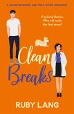 Clean Breaks (eBook, ePUB)