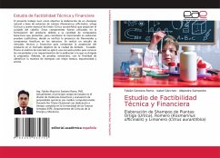 Estudio de Factibilidad Técnica y Financiera