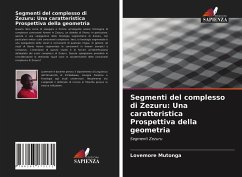 Segmenti del complesso di Zezuru: Una caratteristica Prospettiva della geometria - Mutonga, Lovemore