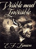 Visible and Invisible (eBook, ePUB)