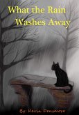 What the Rain Washes Away (eBook, ePUB)