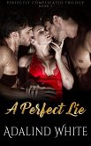 A Perfect Lie (Perfectly Complicated, #3) (eBook, ePUB)
