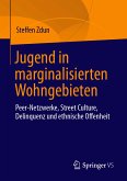 Jugend in marginalisierten Wohngebieten (eBook, PDF)