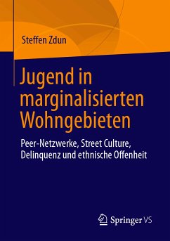 Jugend in marginalisierten Wohngebieten (eBook, PDF) - Zdun, Steffen