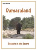 Damaraland (eBook, ePUB)