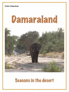 Cover Damaraland (eBook, ePUB)