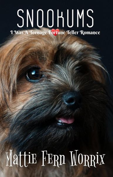 Snookums (I Was A Teenage Fortune Teller Romance, #2) (eBook, ePUB)