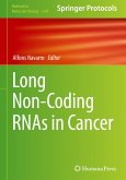 Long Non-Coding RNAs in Cancer