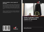 Corte e giudice come organo di giustizia