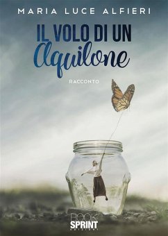 Cover Il volo di un aquilone (eBook, ePUB)