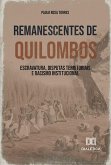 Remanescentes de Quilombos (eBook, ePUB)