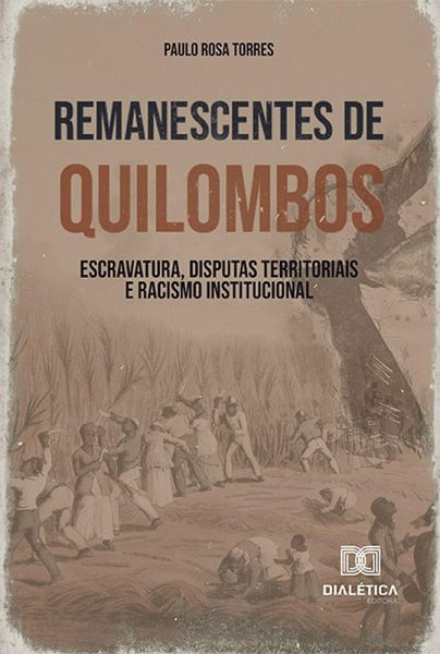 Remanescentes de Quilombos (eBook, ePUB)