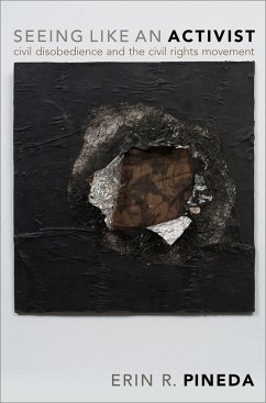 Seeing Like an Activist (eBook, PDF) - Pineda, Erin R.