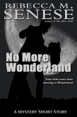 No More Wonderland (eBook, ePUB)