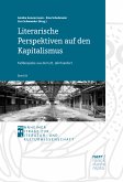 Literarische Perspektiven auf den Kapitalismus (eBook, PDF)