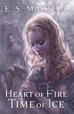 Heart of Fire Time of Ice (The Time Equation Novels, #1) (eBook, ePUB)