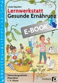 Lernwerkstatt Gesunde Ernährung (eBook, PDF)