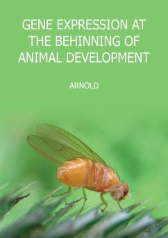 Gene Expression at the Beginning of Animal Development (eBook, ePUB) - Sauer, Arnold