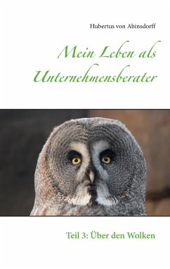 Mein Leben als Unternehmensberater (eBook, ePUB)