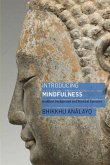 Introducing Mindfulness (eBook, ePUB)