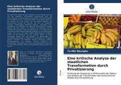 Eine kritische Analyse der staatlichen Transformation durch Privatisierung - Nkongho, Ta-Mbi