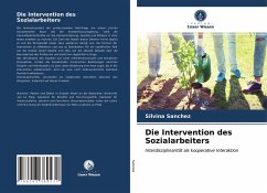 Die Intervention des Sozialarbeiters - Sánchez, Silvina