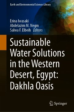 Sustainable Water Solutions in the Western Desert, Egypt: Dakhla Oasis (eBook, PDF)