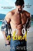 Two of a Kind (Haven Bay, #2) (eBook, ePUB)