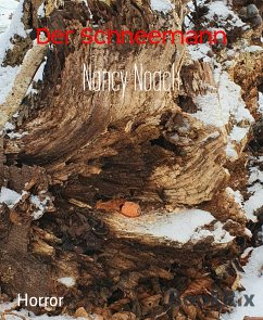 Der Schneemann (eBook, ePUB) - Noack, Nancy