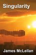 Singularity (eBook, ePUB) - Bild 1