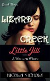 Lizard Creek (eBook, ePUB)