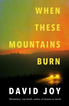 When These Mountains Burn - Joy, David