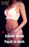 Schieb deine Faust in mich (eBook, ePUB) Schieb deine Faust in mich (eBook, ePUB)