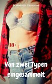 Von zwei Typen eingesammelt (eBook, ePUB)