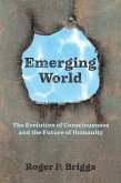 Emerging World (eBook, ePUB) Emerging World (eBook, ePUB)