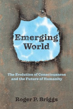 Emerging World (eBook, ePUB) - Briggs, Roger