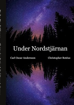 Under Nordstjärnan (eBook, ePUB) - Botéus, Christopher; Andersson, Carl Oscar