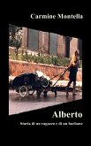 Alberto - Storia di un ragazzo e di un barbone (eBook, ePUB)
