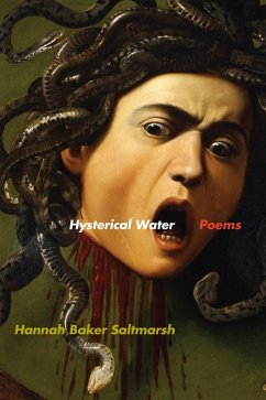 Hysterical Water (eBook, ePUB) - Saltmarsh, Hannah Baker