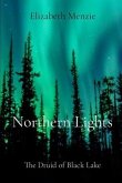 Northern Lights - The Druid of Black Lake (eBook, ePUB)