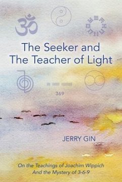 The Seeker and The Teacher of Light (eBook, ePUB) - Gin, Jerry