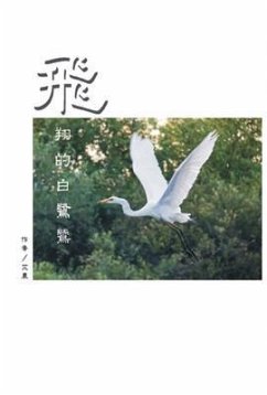 Cover The Flying Egret (eBook, ePUB)