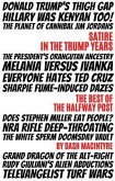Satire In The Trump Years (eBook, ePUB)